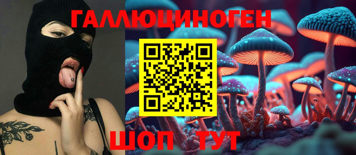 Галлюциногенные грибы Psilocybe  Вход с VPN  Шахты 